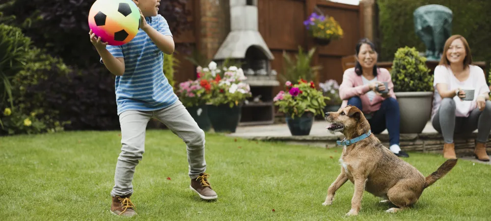 Child and dog playing outside in the lawn